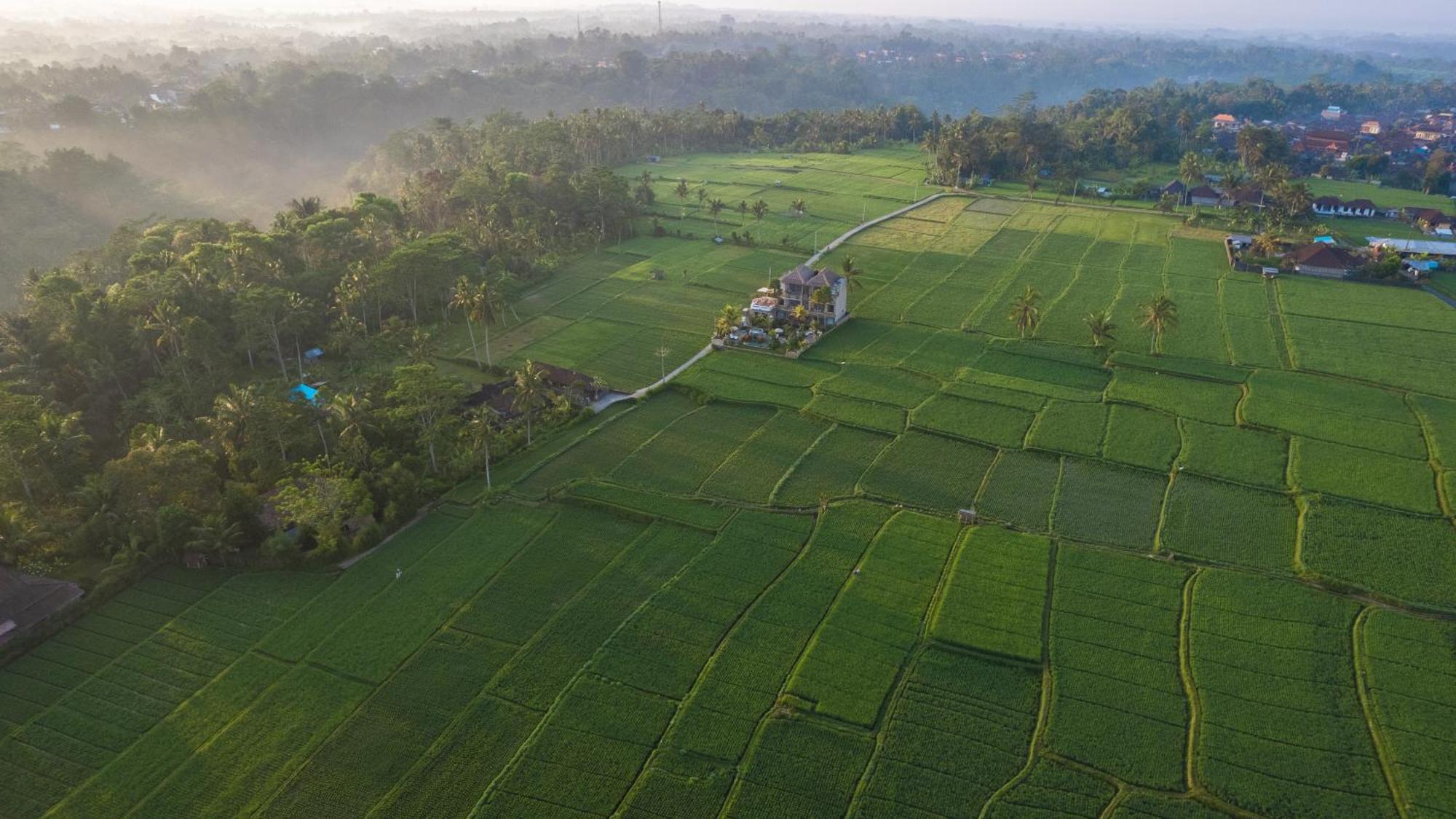 Maison d'hôtes The Nenggala Tegallalang (Bali)